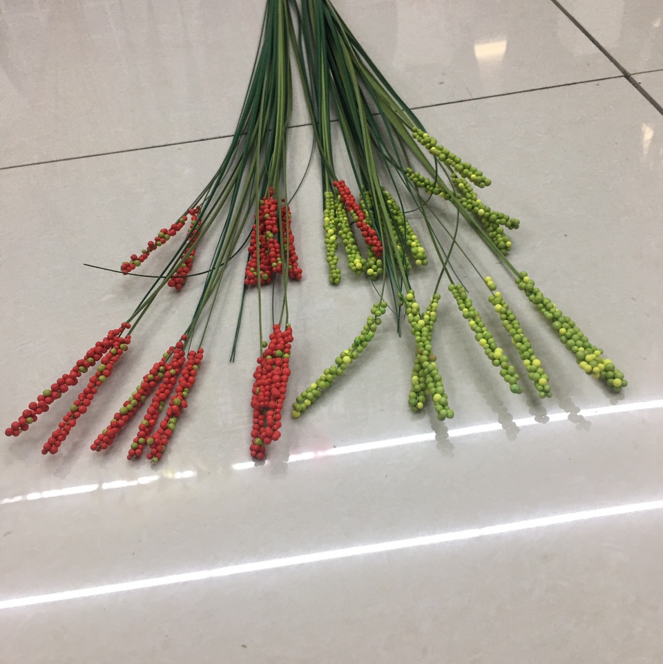 单只水蜡烛红绿