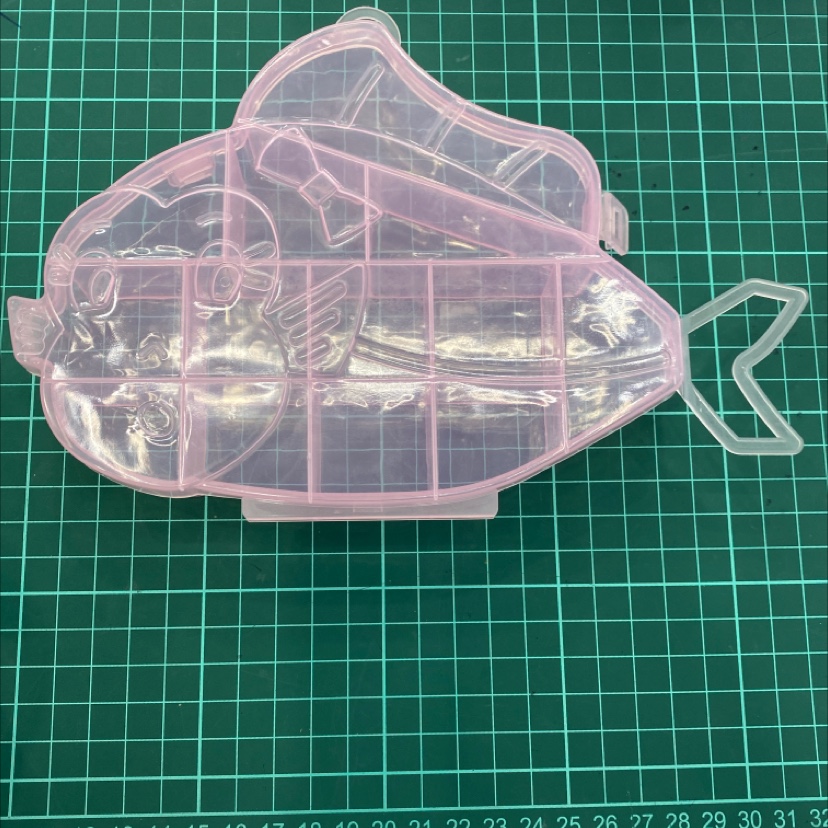 Pink clownfish in the box