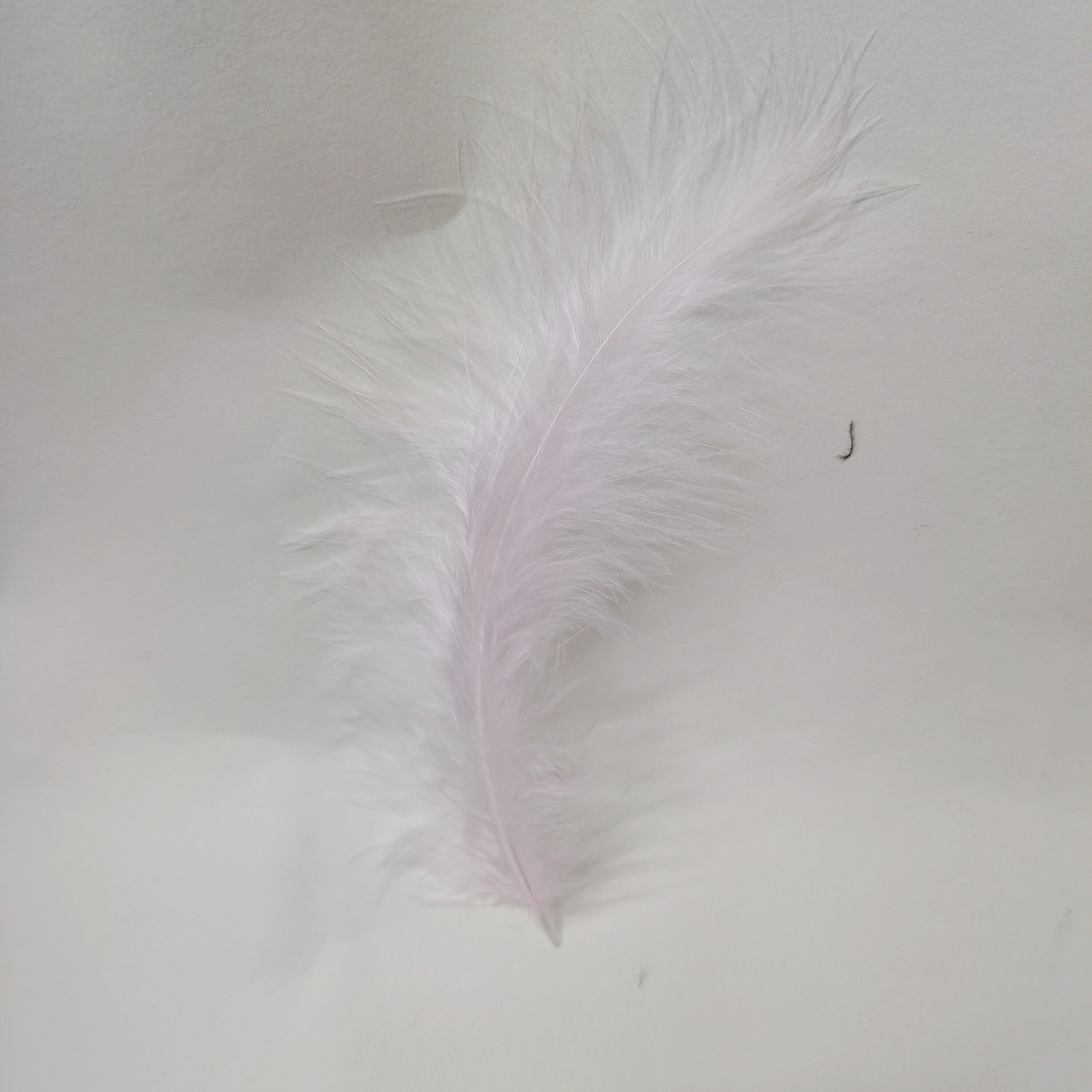 Turkey feather light pink and white