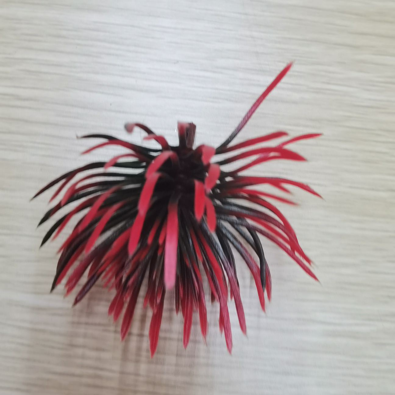 塑料小球配饰红色