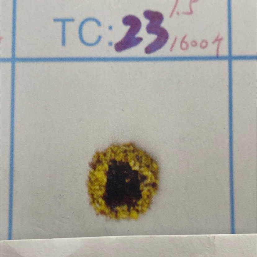 23号毛芯