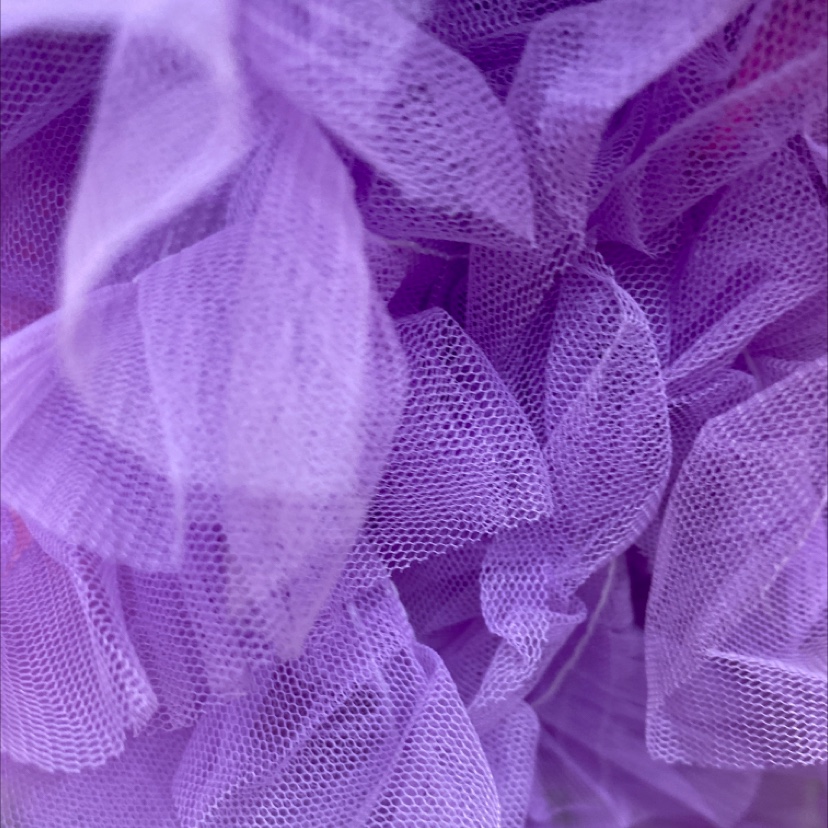 网纱双线中紫色