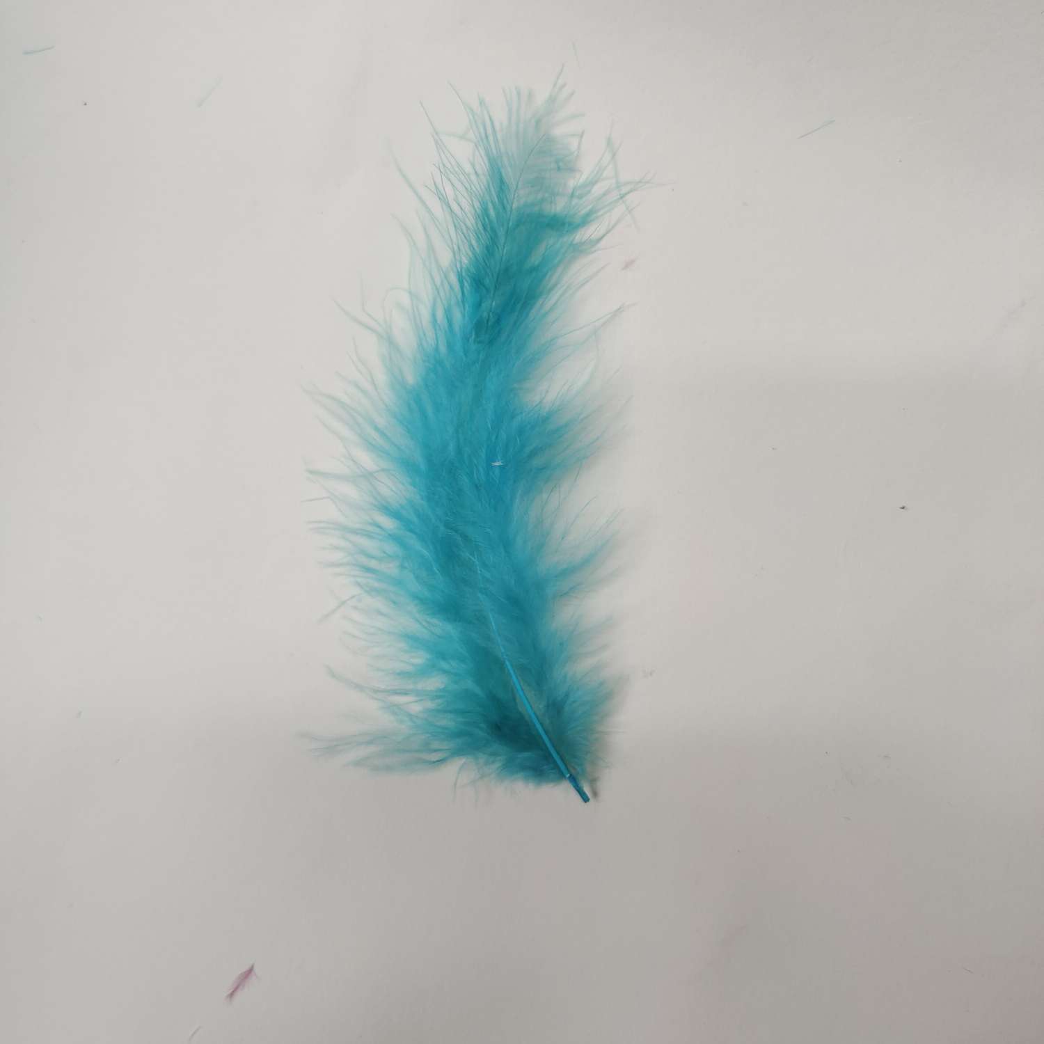 其他肉禽制品实物图