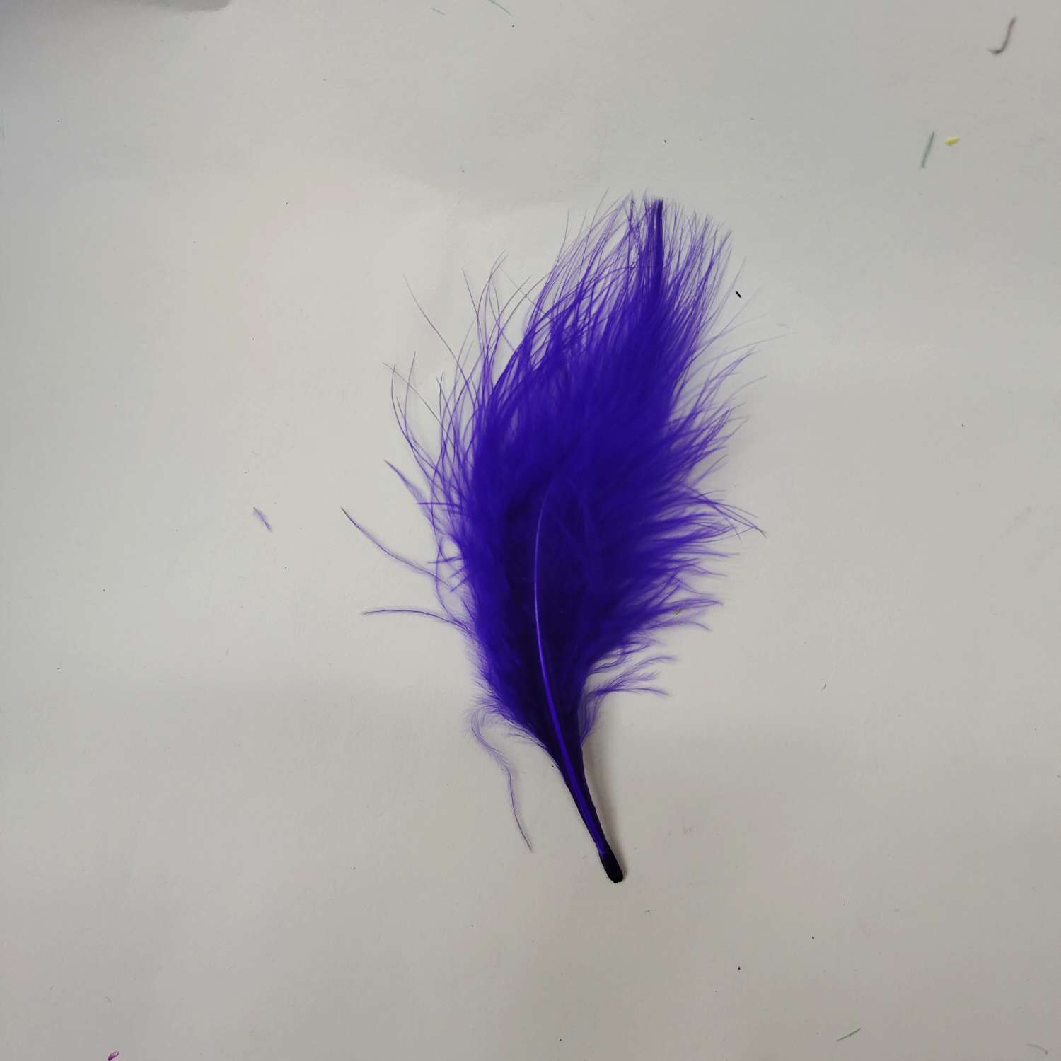 火鸡全绒羽毛浅梅红色细节图