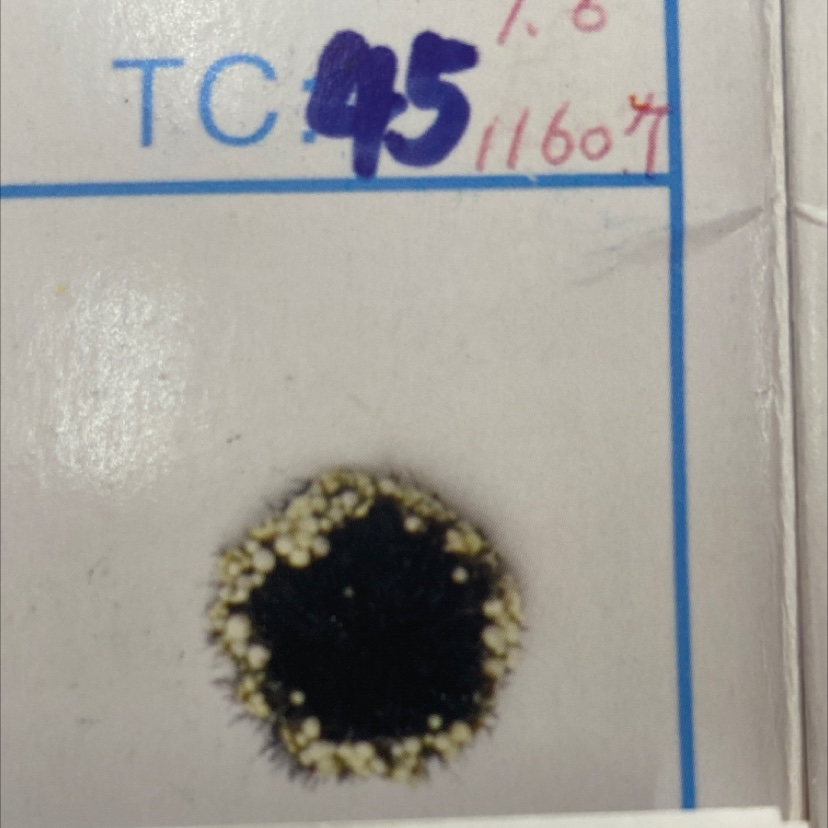 No. 45 wool core