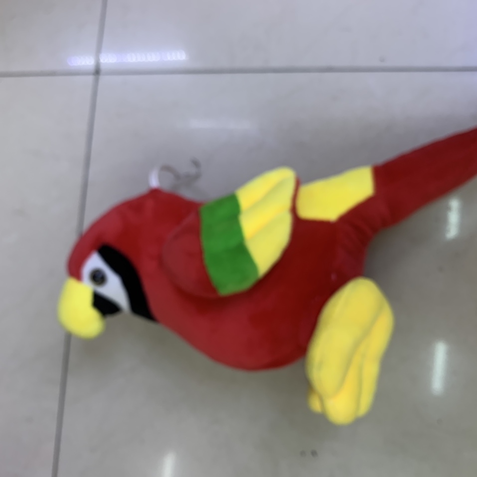 鹦鹉
