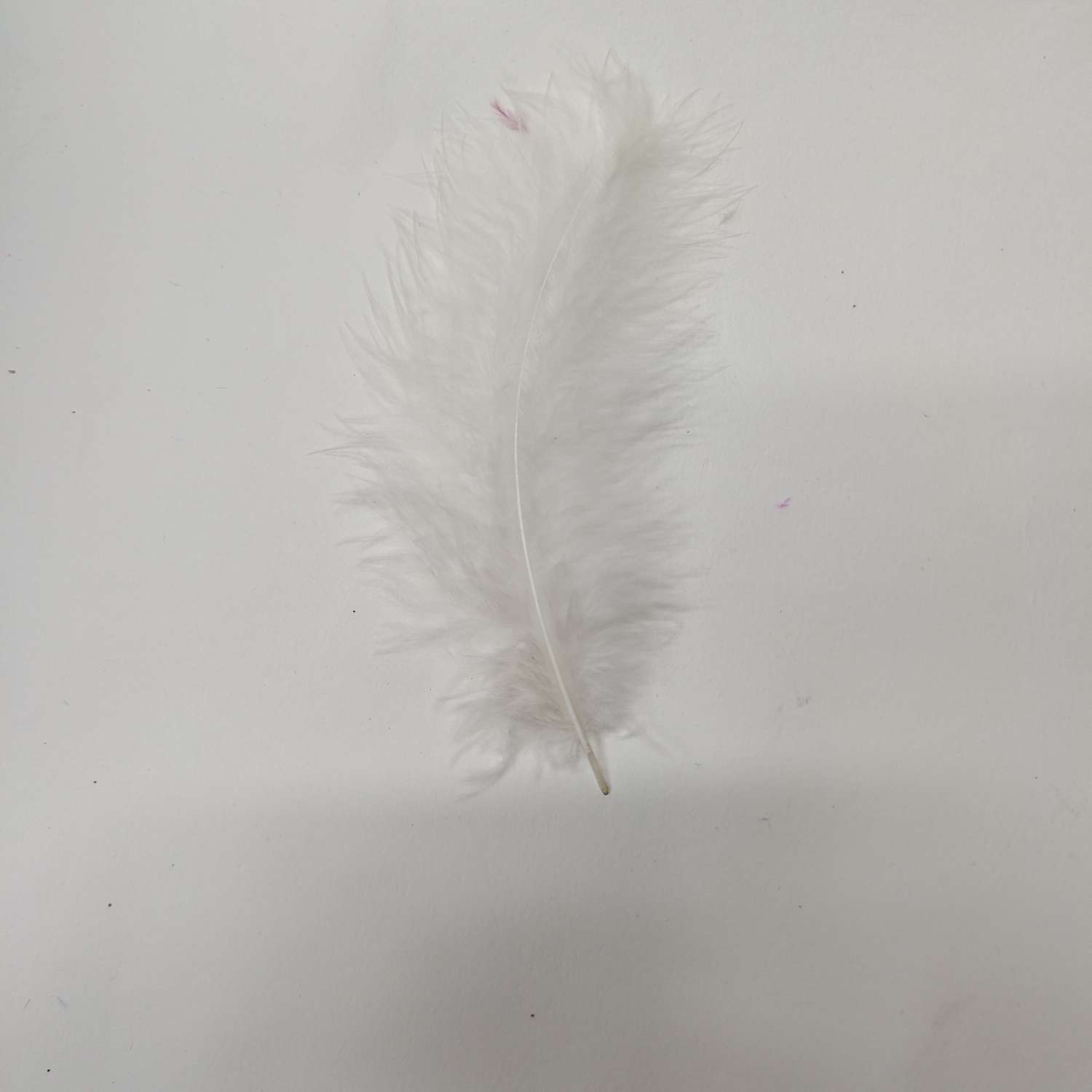 其他肉禽制品实物图