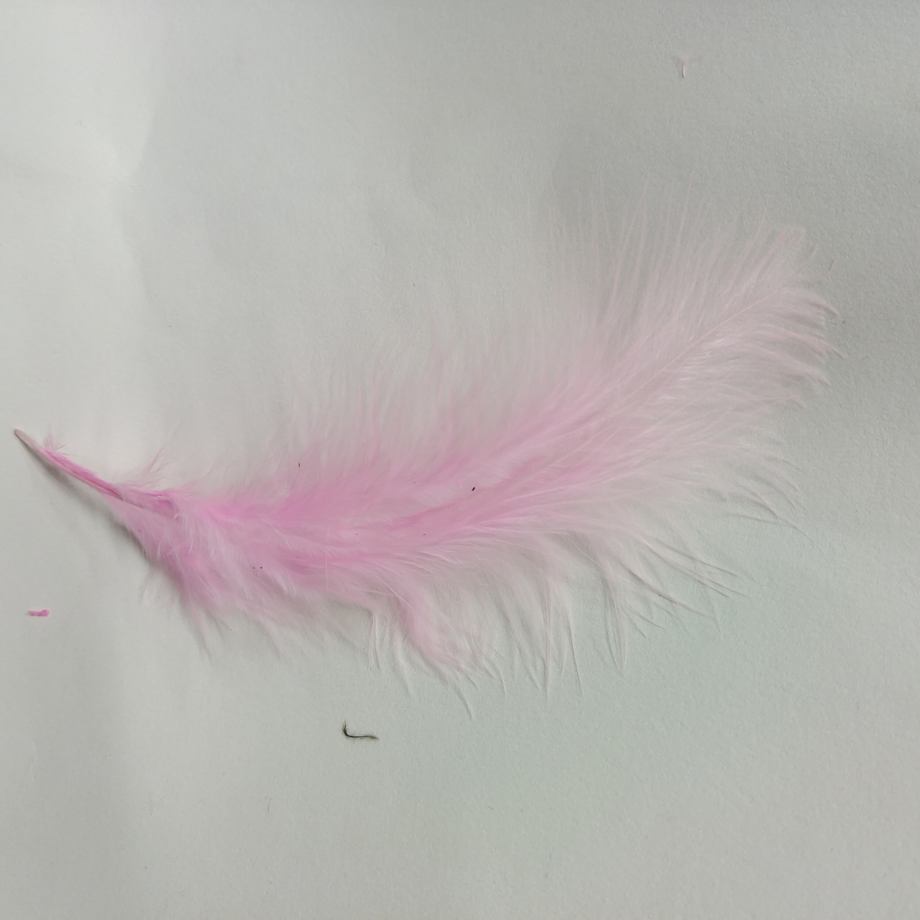 Turkey velvet feathers light pink skin
