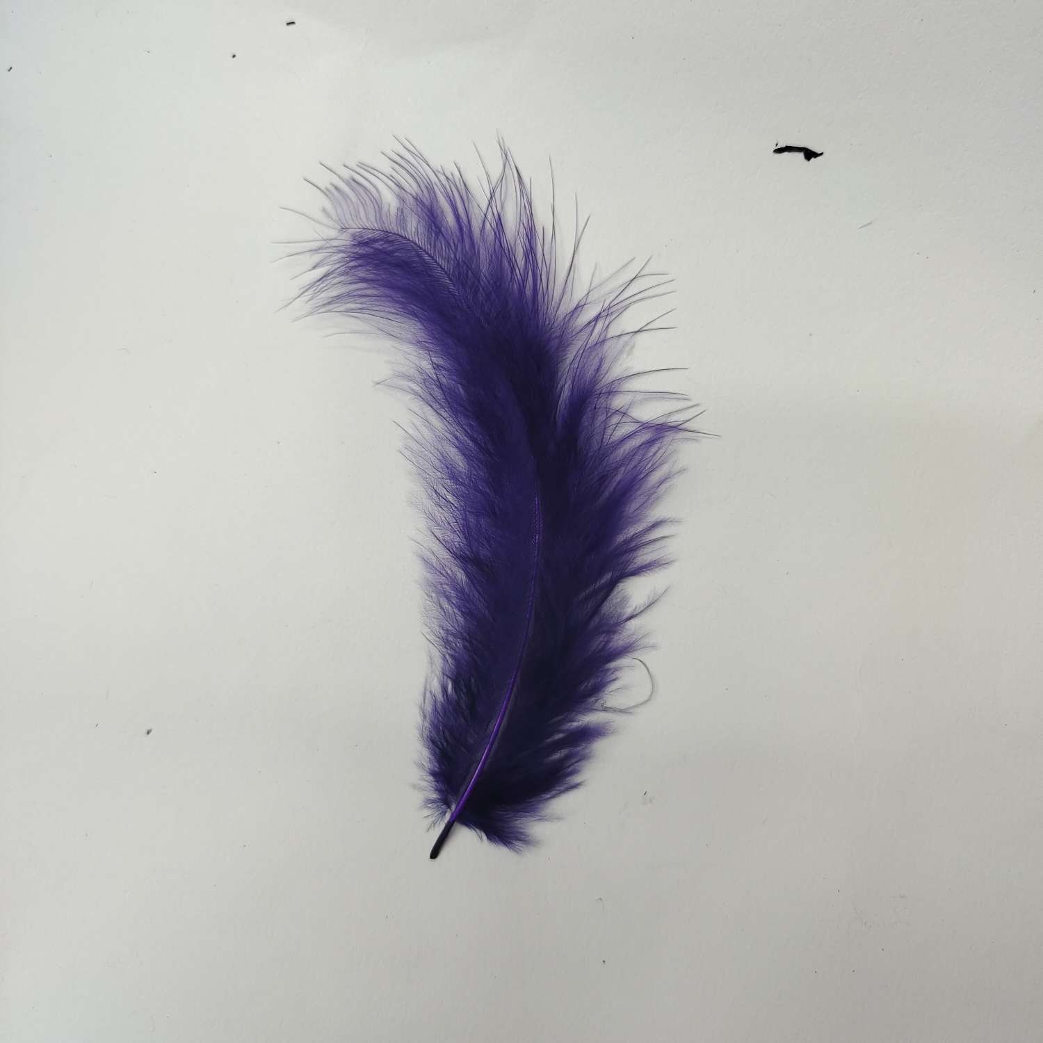 火鸡全绒羽毛浅梅红色产品图