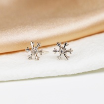 S925 new anti-allergy micro-inset zircon snow earrings 14K gold simple fashion girls jewelry earrings