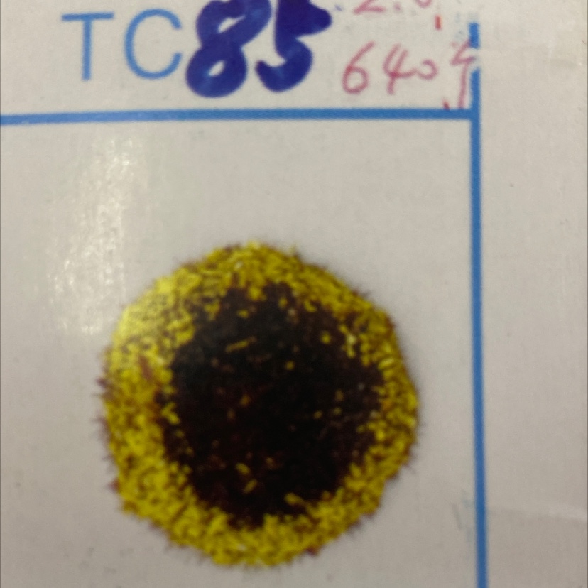 No. 85 wool core