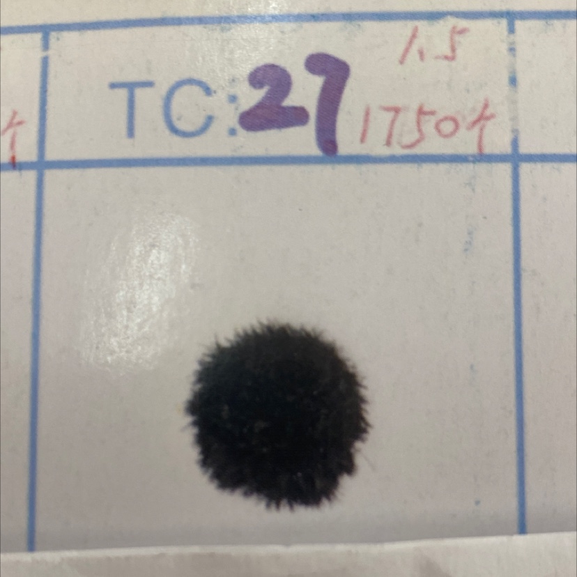 الفتيل 27