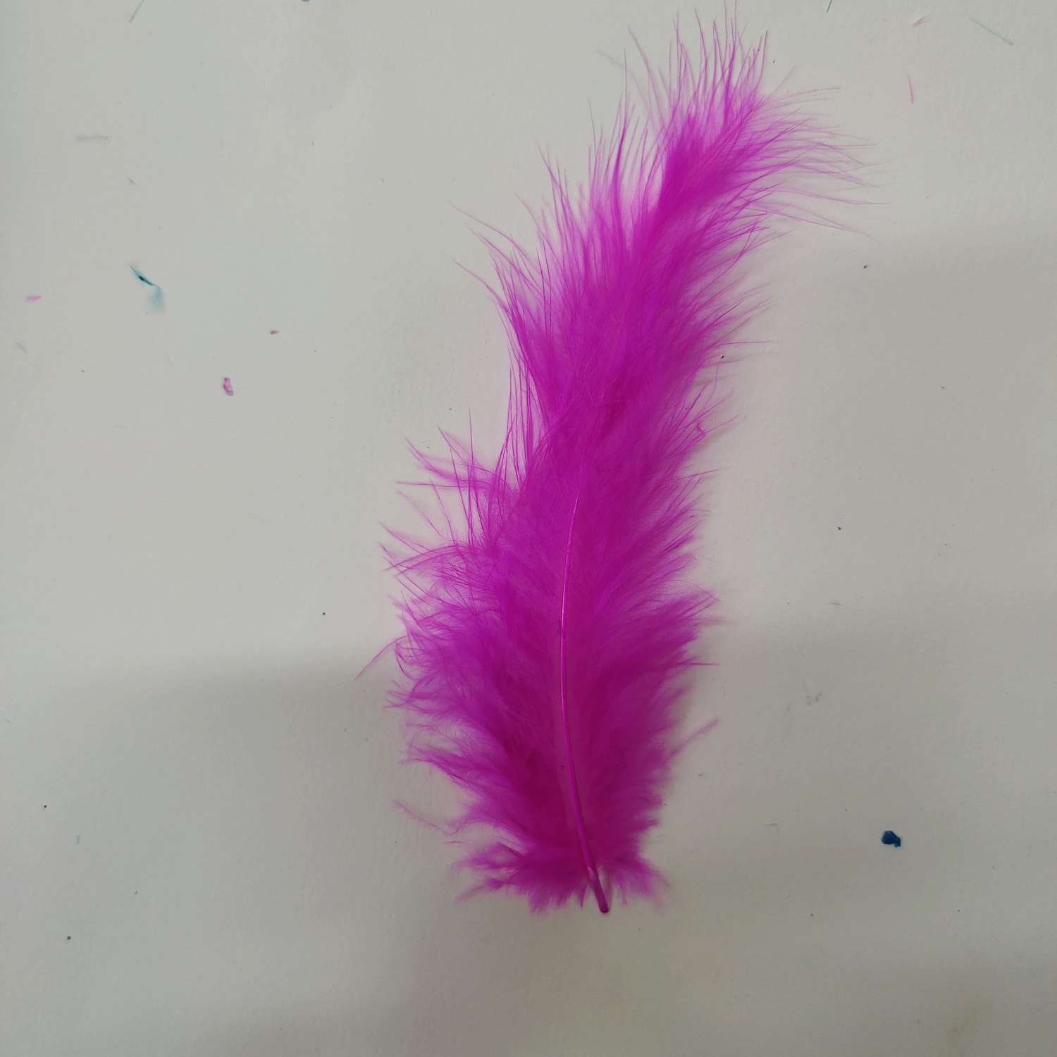 火鸡全绒羽毛酒红色细节图