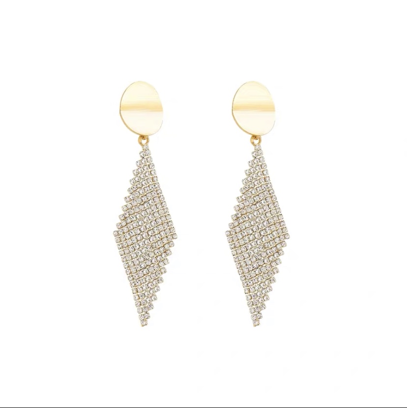 Earrings 205