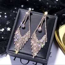 Earrings 229