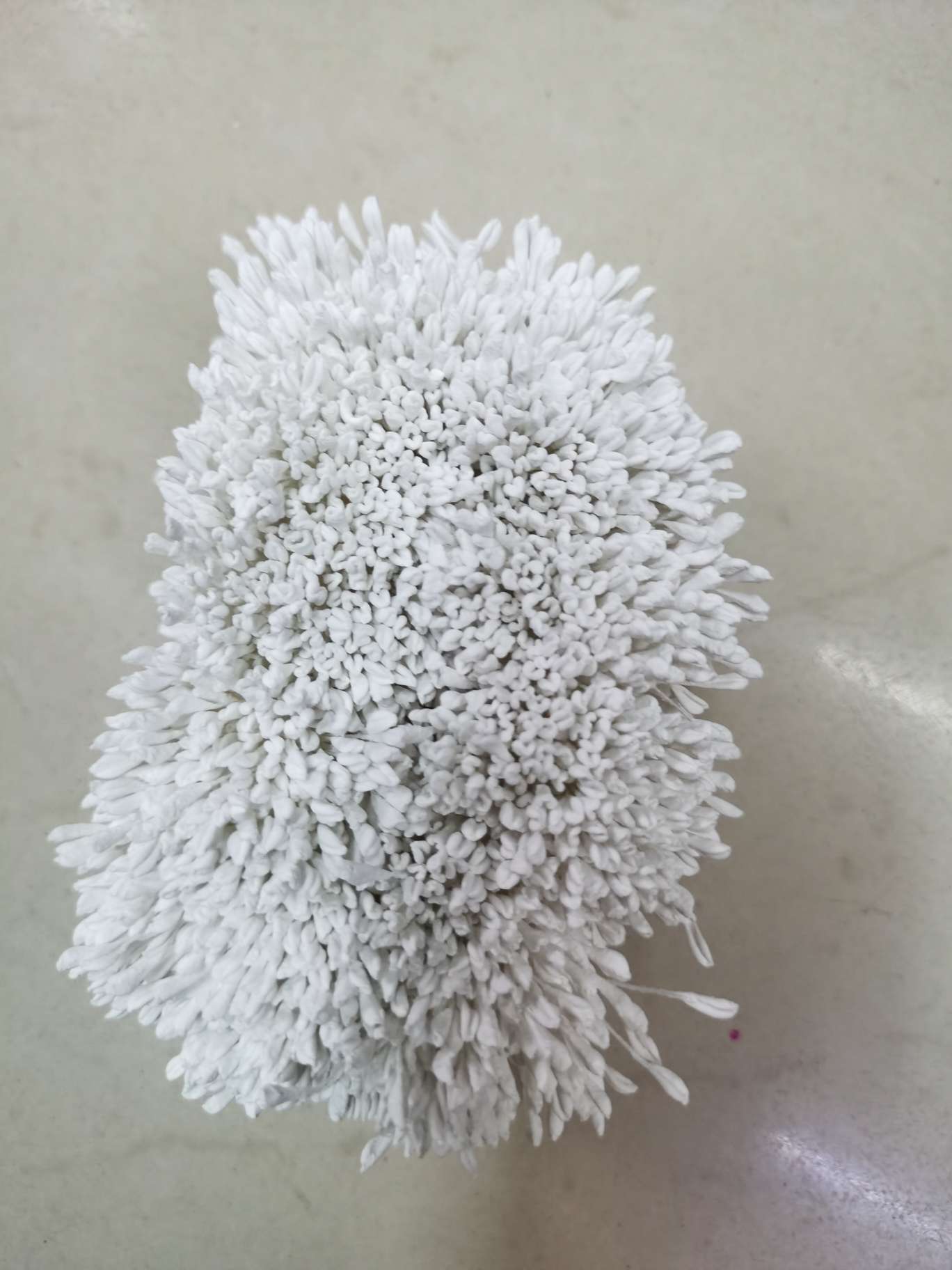 Rose white detail image 1