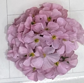 绣球红色065高群花行厂家直销来样定做颜色多款式新