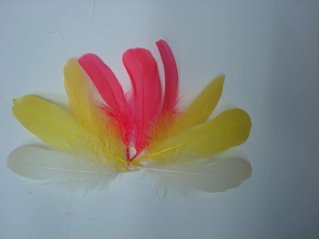 铜鸡侧尾30-35公分产品图