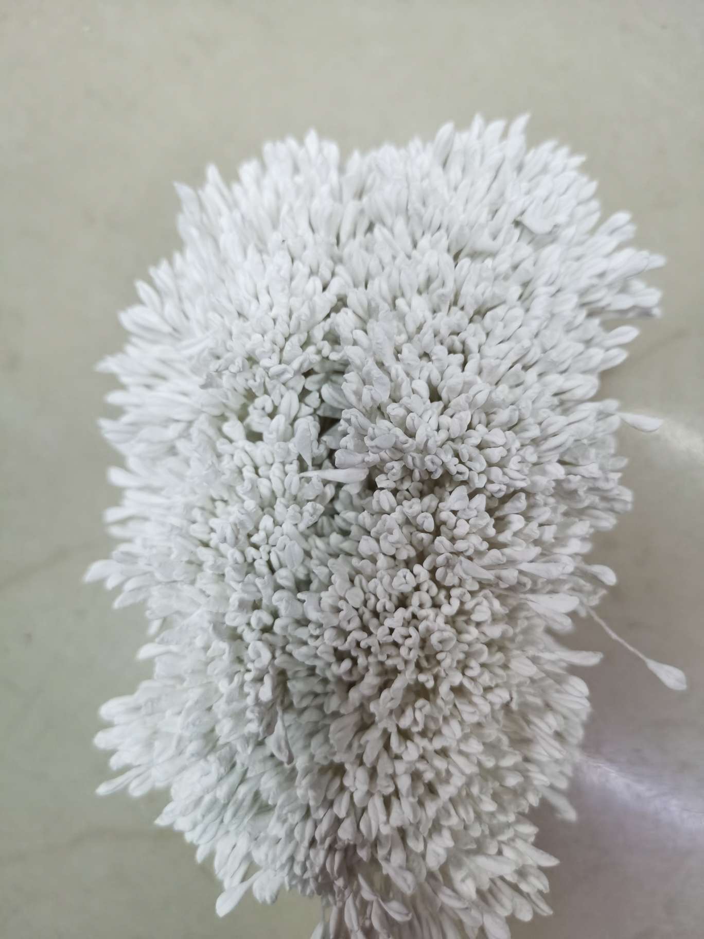 Rose white detail image 2