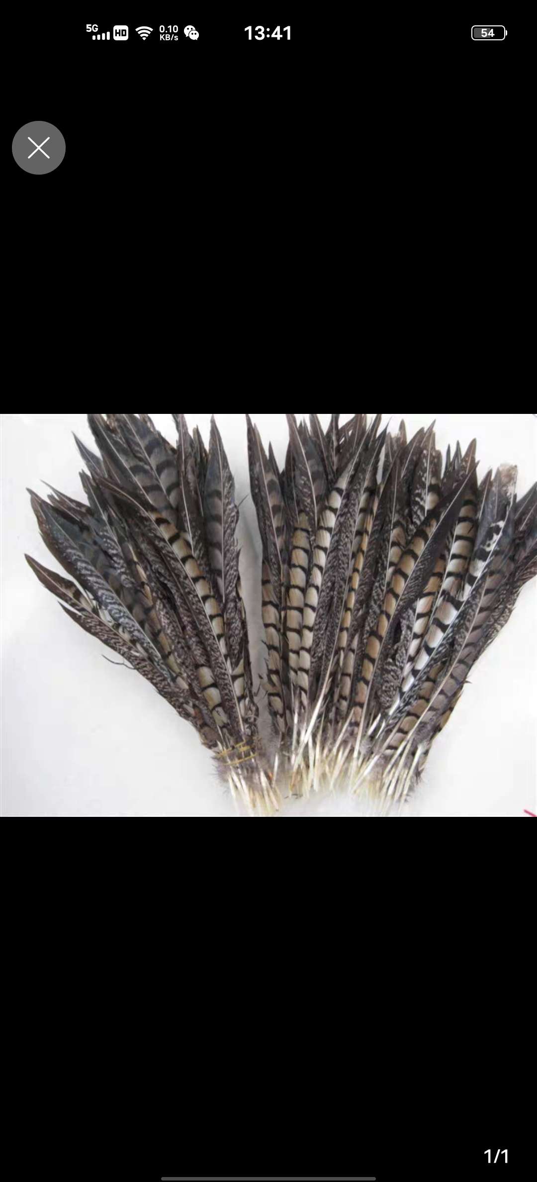 铜鸡侧尾30-35公分细节图