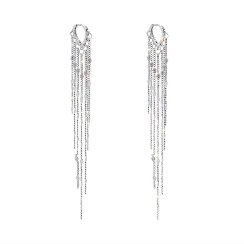 Earrings 256