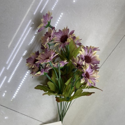 淡粉色 秋色
7头细野菊 782