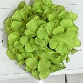 货号066绣球花高群花行厂家直销来样定做颜色多款式新，爆款0.0