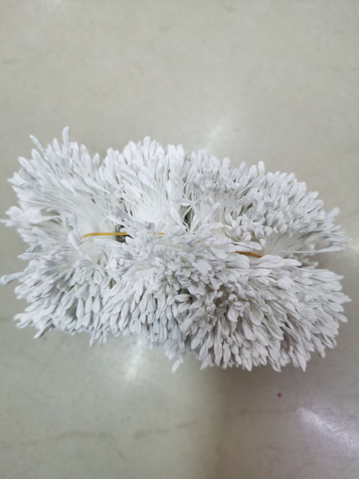 Rose white detail image 3