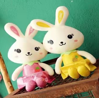Fruit rabbit