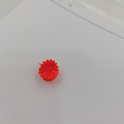 爪子5