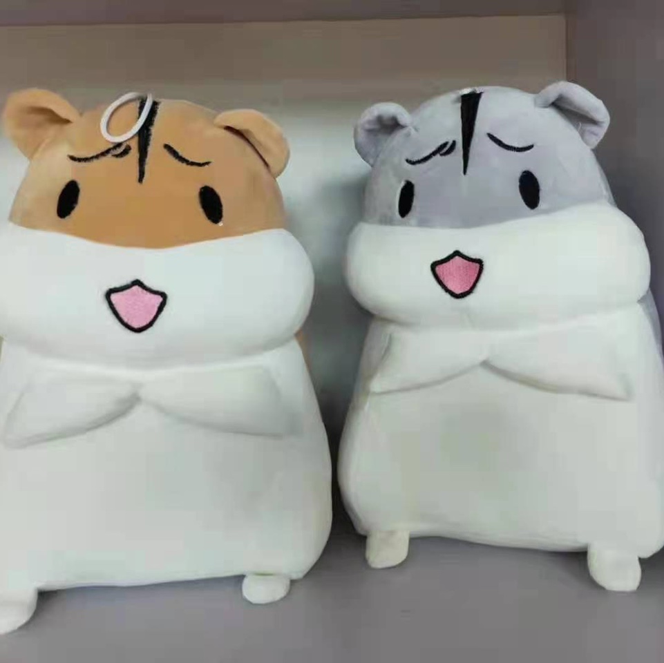 Little hamster