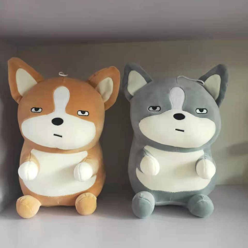 Standing corgi