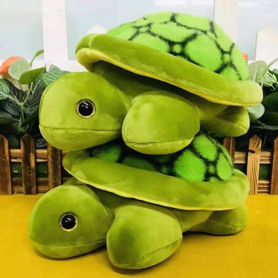 Sea turtle
