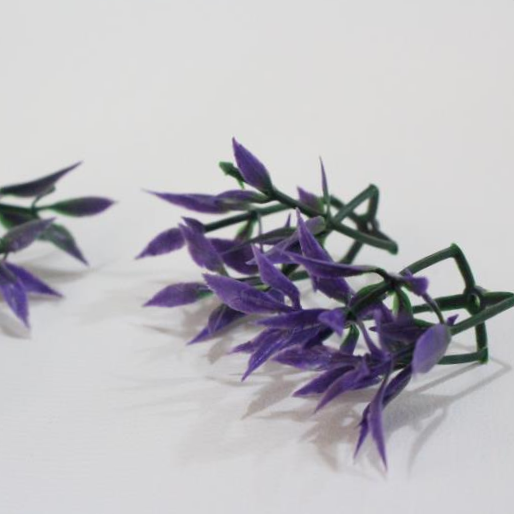 Grass 39