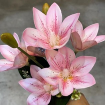 Pink lily bouquet