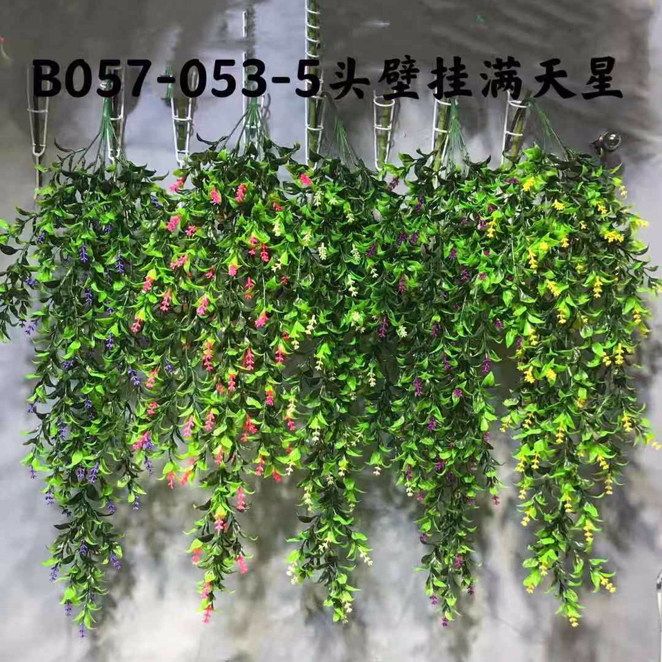 5头壁挂满天星