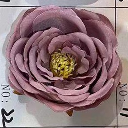 Bark peony