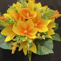 Yellow lily
