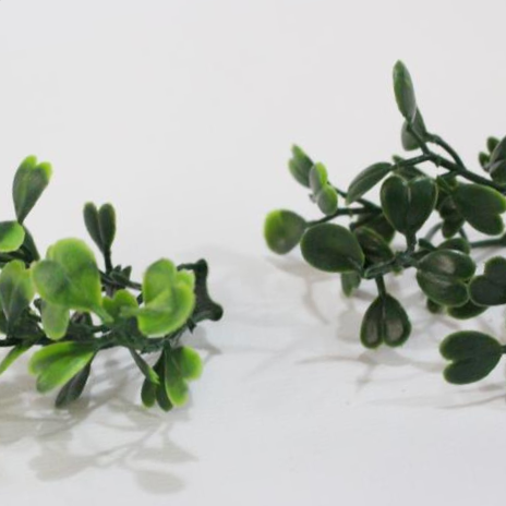 Grass 42