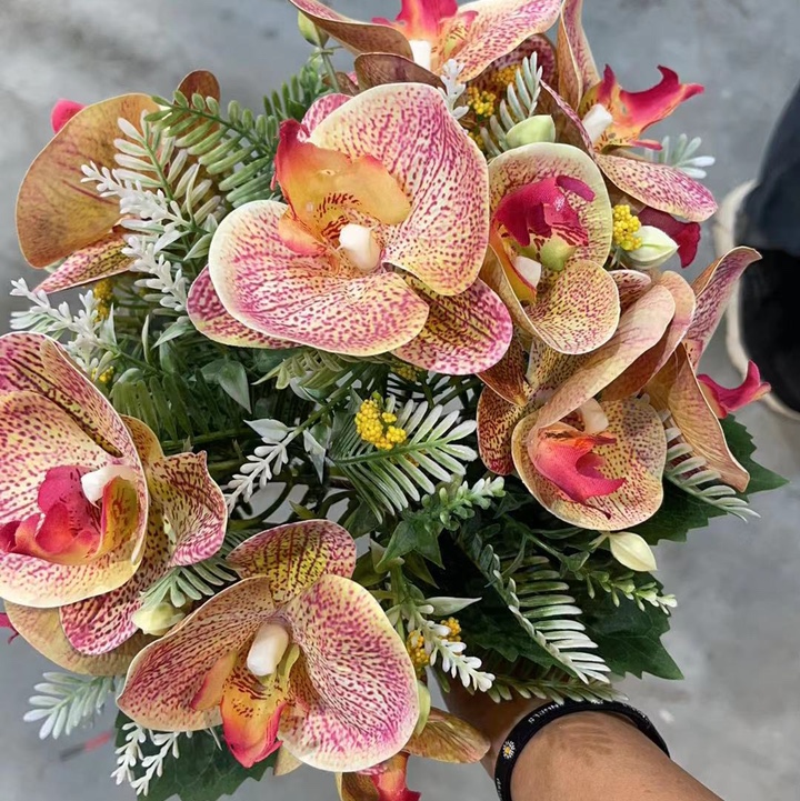 Mixed phalaenopsis bunches