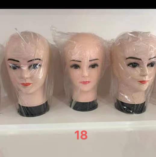 Head model