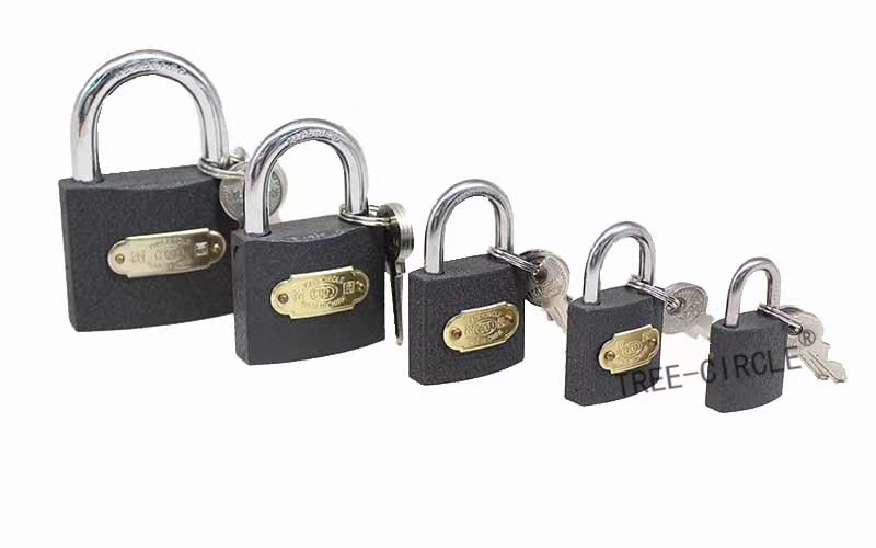 Yiwu quality grey iron lock core 38MM Item Picture
