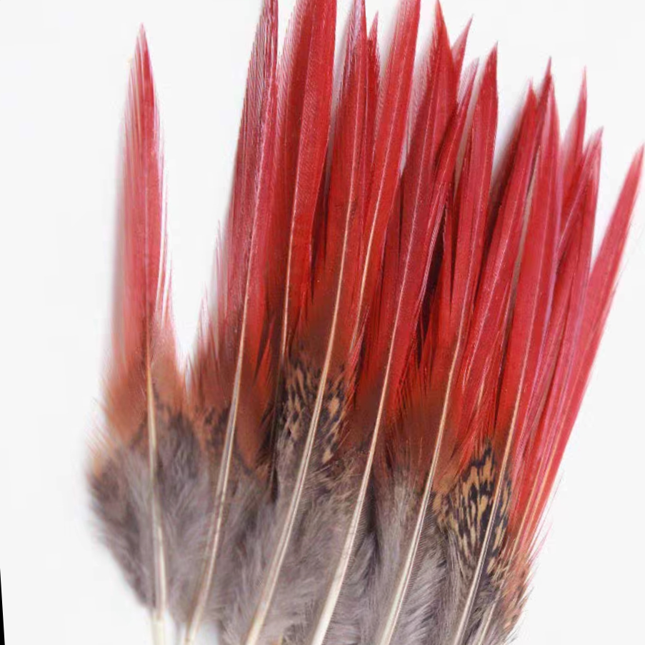 Golden Rooster Red Arrow 10-15 cm