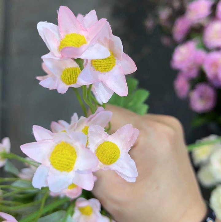 Pink flower