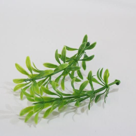 Grass 3