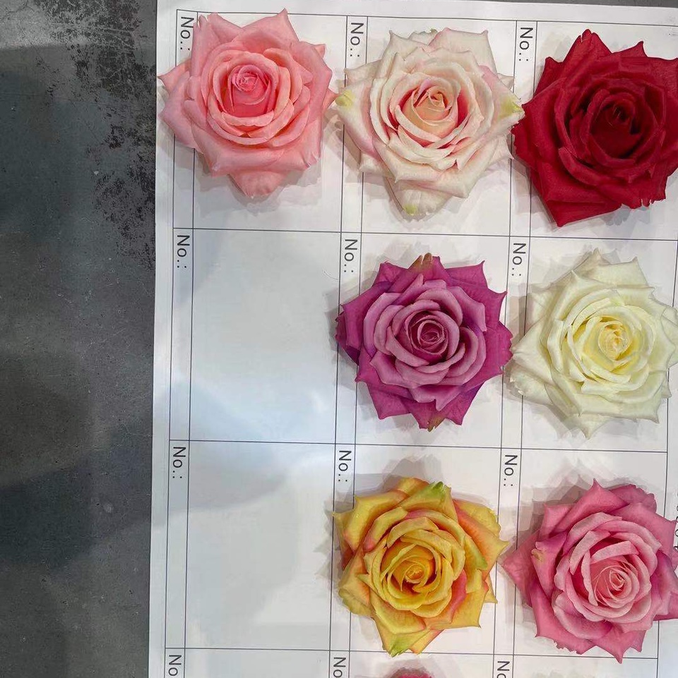 Big rose