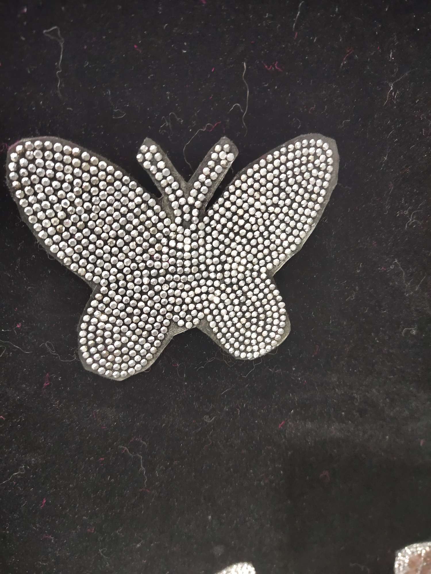 Butterfly detail image 1