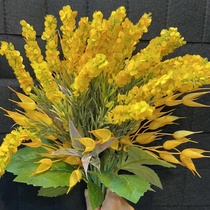 Yellow bundle