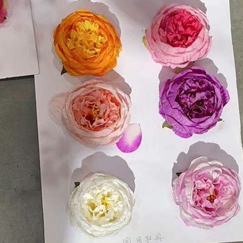 Peony flower head