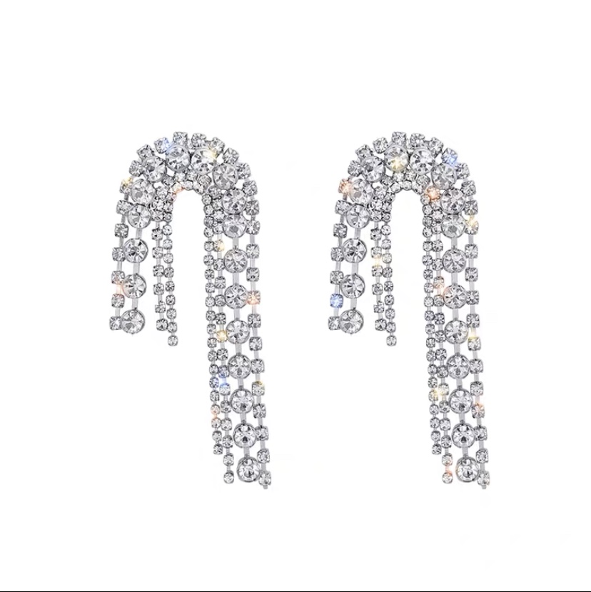 Earrings 310